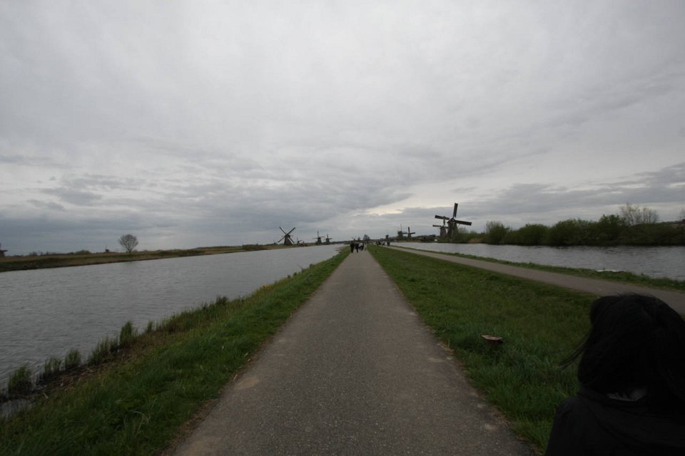 IMG 1555