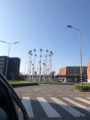 IMG 7586