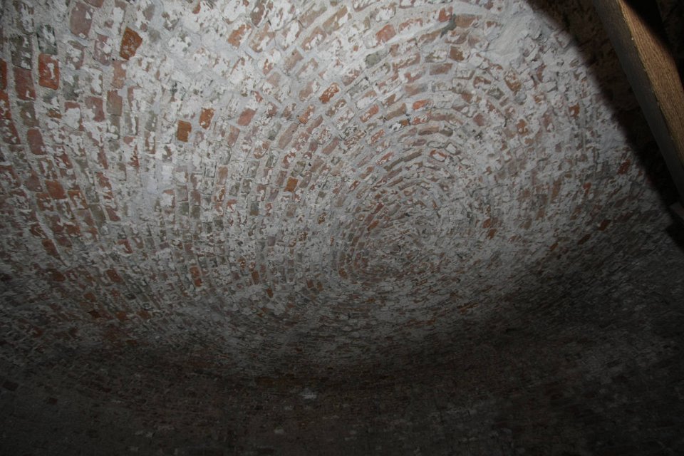 IMG 1531
