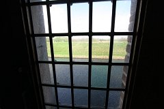IMG 1481
