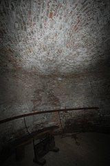 IMG 1529