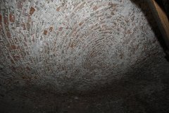 IMG 1531