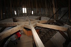 IMG 1535
