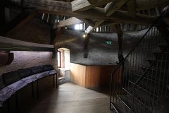 IMG 1537