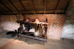 IMG 1549