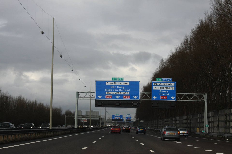 IMG 4975