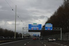 IMG 4975