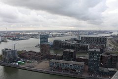 IMG 4981