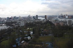 IMG 4985
