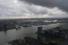 IMG 5003