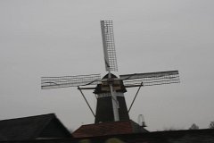 IMG 5033