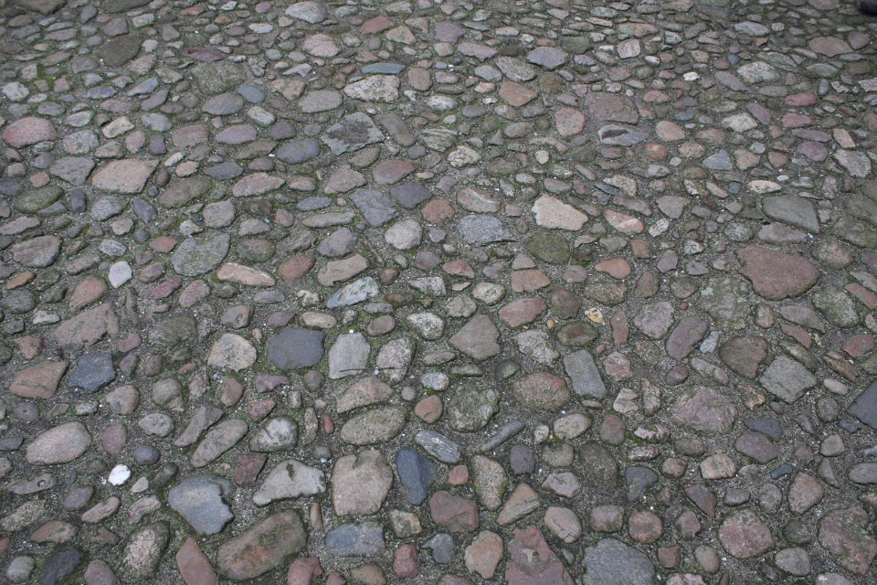 IMG 6102