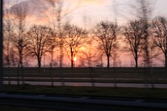 IMG 4876