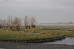 IMG 4896