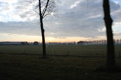 IMG 4911