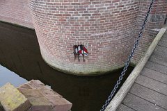 IMG 5982