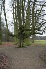 IMG 6053