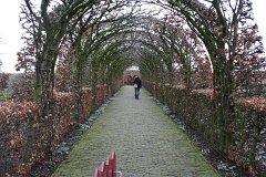 IMG 6083