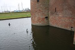 IMG 6090