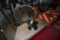 IMG 6192