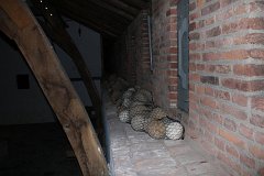IMG 6211