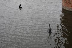 IMG 6225