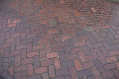 IMG 6265