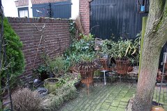 IMG 6320