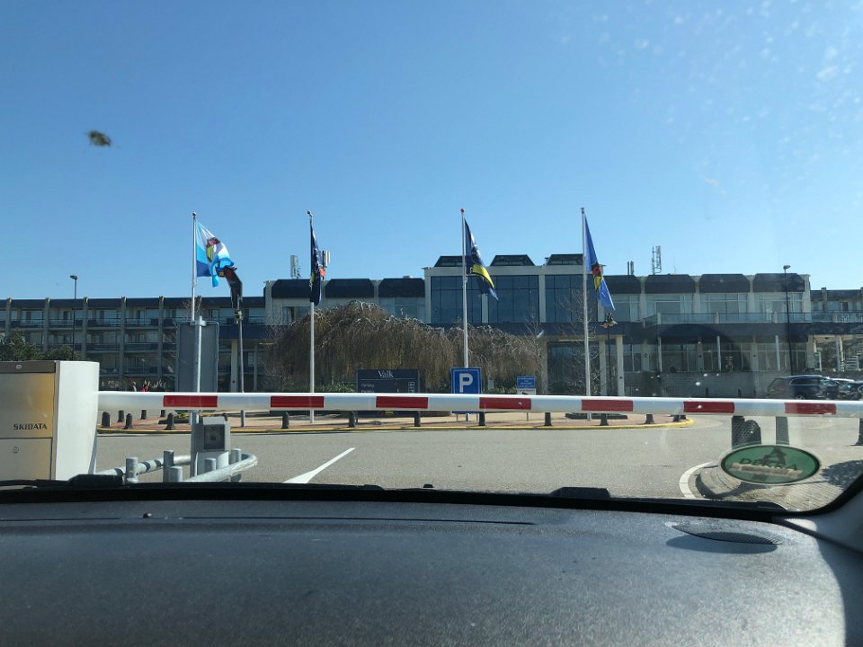 IMG 7650