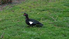IMG 1248