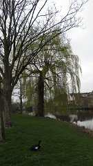 IMG 1249