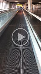 IMG 7667