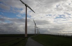 2010 Netherlands  2010 Netherlands