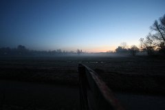 IMG 6975