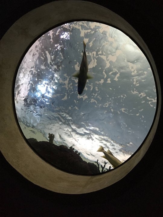 2015-05-06 11.43.33