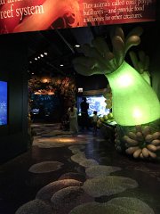 2015-05-06 11.41.41