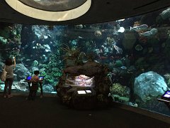 2015-05-06 11.42.51