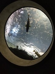 2015-05-06 11.43.33