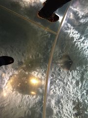 2015-05-06 11.45.51