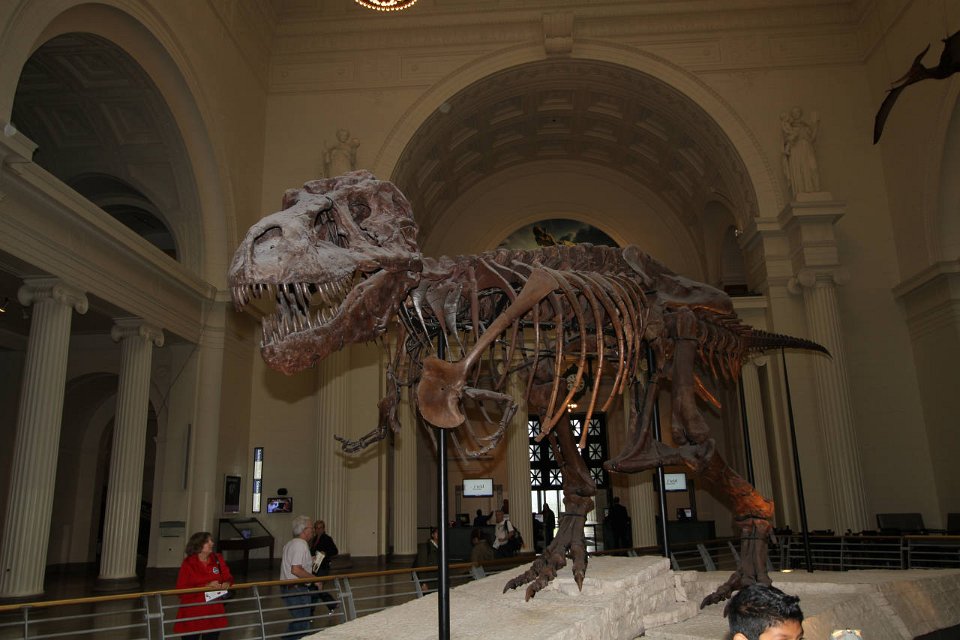 E7D 4896