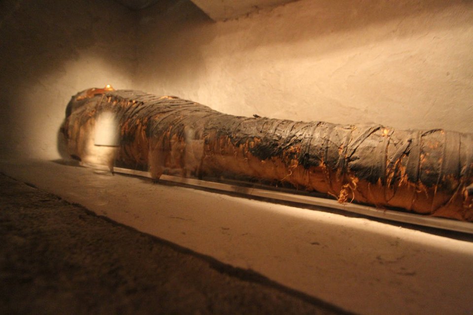 E7D 4977