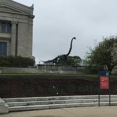 Field Museum (2015)