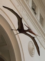2015-05-09 09.39.37