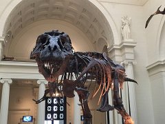 2015-05-09 09.46.33