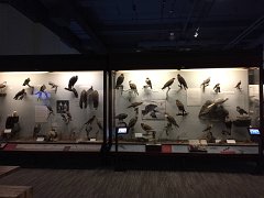 2015-05-09 09.54.18