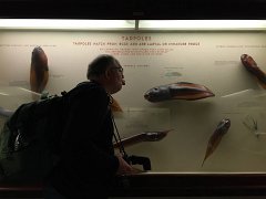 2015-05-09 10.11.36