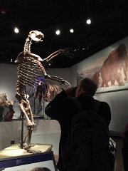 2015-05-09 11.09.49