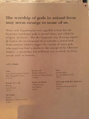 2015-05-09 12.01.08