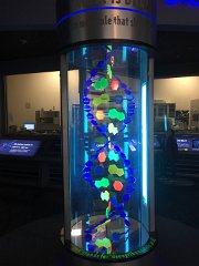 2015-05-09 12.52.52