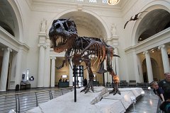 E7D 4906